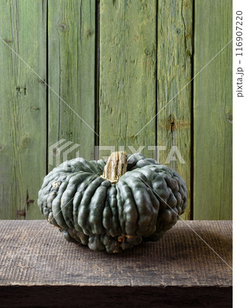 Marina Di Chioggia Heirloom Pumpkin 116907220