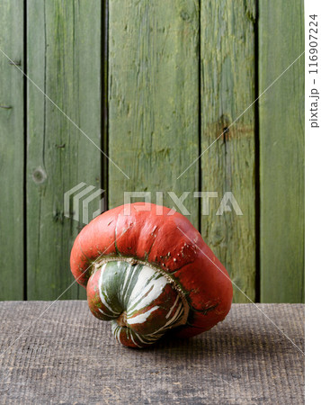 Turban Squash or Turks Turban Pumpkin Turban Squash or Turks Turban Pumpkin 116907224