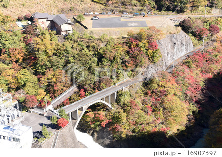 奥多摩湖の紅葉 奥多摩湖の紅葉 116907397