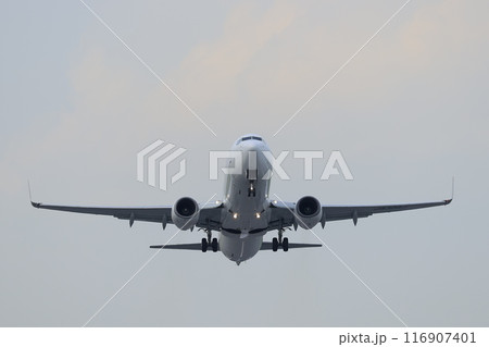旅客機（B737）の離陸風景 116907401