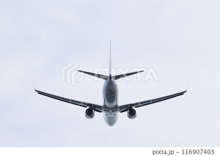 旅客機（B737）の離陸風景 116907403