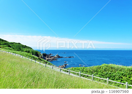 秋田県 青空の男鹿半島 戸賀湾展望公園からの風景 秋田県 青空の男鹿半島 戸賀湾展望公園からの風景 116907560