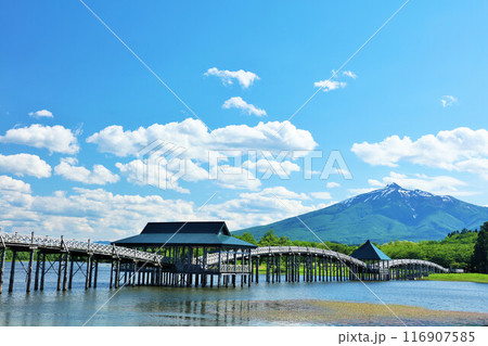 青森県　青空の鶴の舞橋 116907585