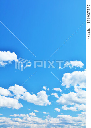 青森県 夏の青空と雲(鶴の舞橋にて撮影) 青森県 夏の青空と雲(鶴の舞橋にて撮影) 116907587