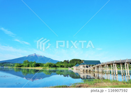 青森県　青空の鶴の舞橋と岩木山 116907592