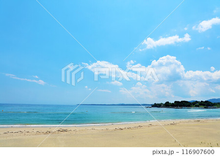 宮城県 青空と青い海の大谷海岸 宮城県 青空と青い海の大谷海岸 116907600