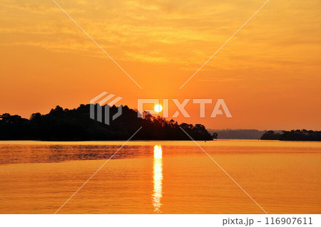 宮城県　夜明けの松島 116907611