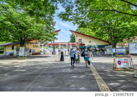 神奈川県横浜市の都市風景　こどもの国 116907639