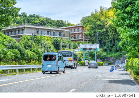 神奈川県横浜市の都市風景　こどもの国 116907641