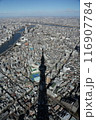 スカイツリーの影 116907784