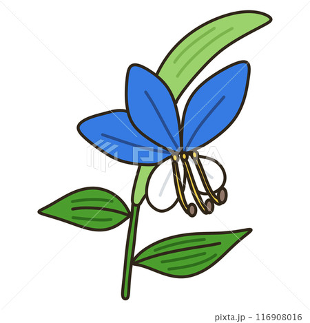 ツユクサ 116908016