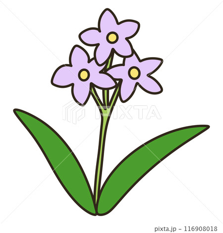 ルリヤナギ ルリヤナギ 116908018