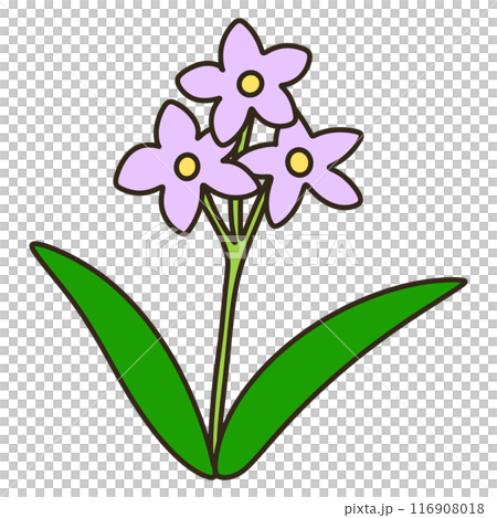 ルリヤナギ ルリヤナギ 116908018