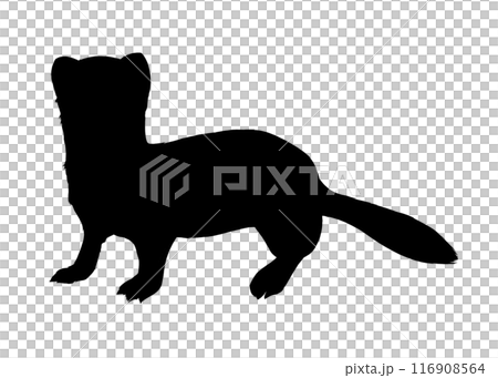 Stoat silhouette illustration Stoat silhouette illustration 116908564