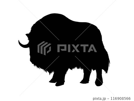 ジャコウウシのシルエットイラスト 116908566
