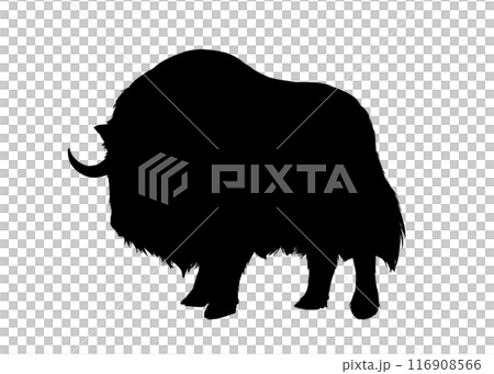 ジャコウウシのシルエットイラスト 116908566