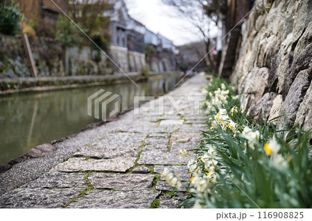 八幡堀　2023年春 116908825