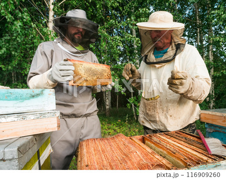 Beekeeper male working collect honey. Beekeeping concept. 116909260