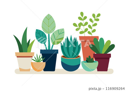 Collection of potted houseplants illustration showcasing a variety of green leafy indoor plants Collection of potted houseplants illustration showcasing a variety of green leafy indoor plants 116909264