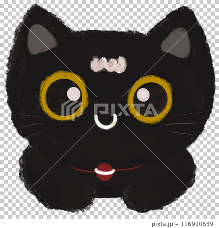 cute_baby_black_cat_with_big_eye 116910639
