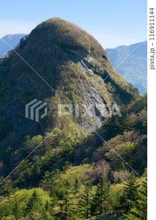 子持権現山 子持権現山 116911144