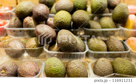 Showcase with fresh organic avocado in supermarket. Plastic boxes in the shop of greengrocer at market. 116911231