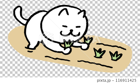 一隻可愛的耕田小眼睛白貓的人物素材 116911425