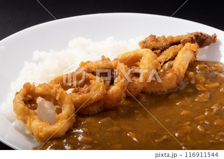イカ　カレー 116911544