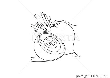 Continuous one line drawing of whole and half sliced healthy organic raw beetroot for farm logo identity. Fresh table beet concept vegetable icon. Single line draw design vector graphic illustration 116911945