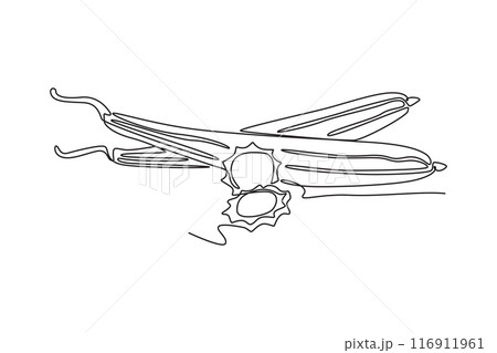 Single one line drawing of whole and sliced...のイラスト素材 [116911961] - PIXTA