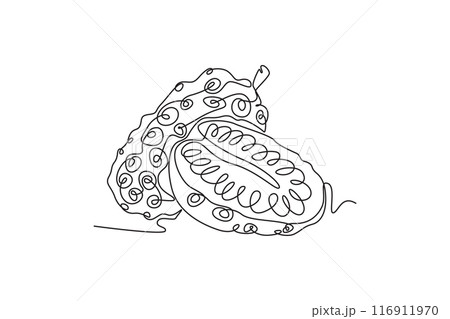 Single continuous line drawing whole half sliced healthy organic noni for orchard logo identity. Fresh tropical fruitage concept for fruit garden icon. One line draw graphic design vector illustration 116911970