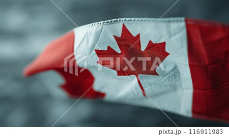 Canadian Flag Close-Up 116911983
