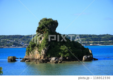 古宇利大橋横のカエル島 古宇利大橋横のカエル島 116912330