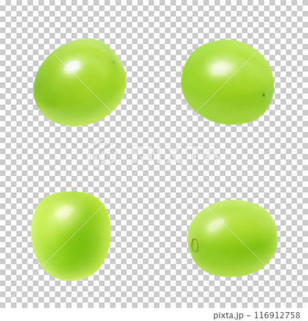 Shine Muscat illustration realistic Shine Muscat illustration realistic 116912758