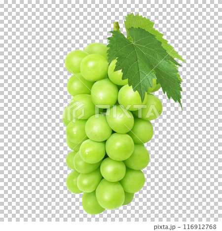 Shine Muscat illustration realistic Shine Muscat illustration realistic 116912768