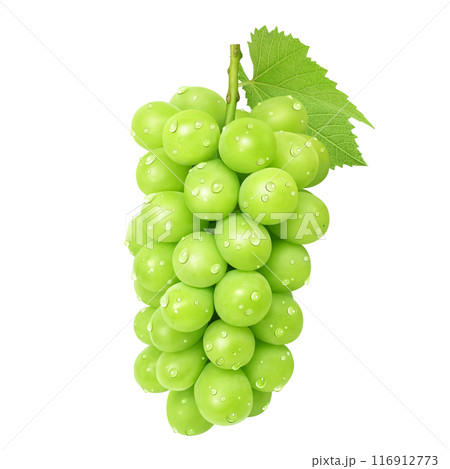 シャインマスカットのイラスト リアル 116912773