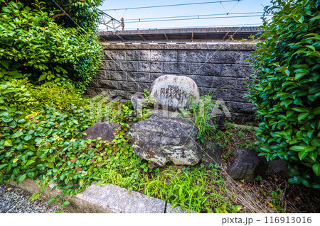 日本の小田原都市景観　7月。JR東海道本線　鴨宮駅 北口前にある鴨居駅開業50周年記念＝22日 116913016