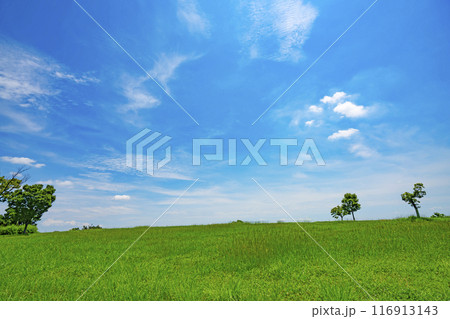 夏の青空と草原 116913143