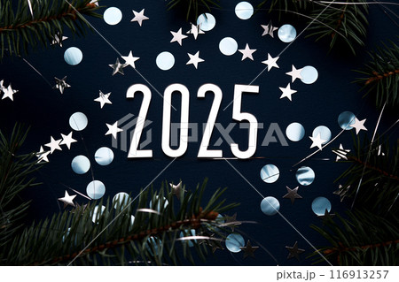New Year 2025 blue background. Number of the coming year in Christmas decoration. New Year 2025 blue background. Number of the coming year in Christmas decoration. 116913257