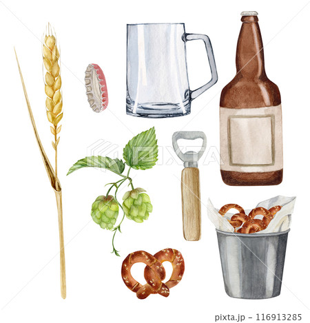Set with hop and malt, glass, bottle of beer, snack bucket of pretzels, pretzel, steel bottle opener wood handl and bottle cap 116913285