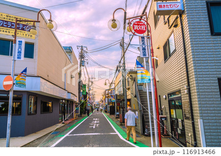 日本の小田原都市景観 7月。鴨宮駅 北口前の鴨宮北口商店街などを望む。新幹線発祥の地…=7月22日 日本の小田原都市景観 7月。鴨宮駅 北口前の鴨宮北口商店街などを望む。新幹線発祥の地…=7月22日 116913466