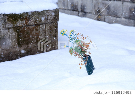 お墓の墓石 冬の仏花 お墓の墓石 冬の仏花 116913492