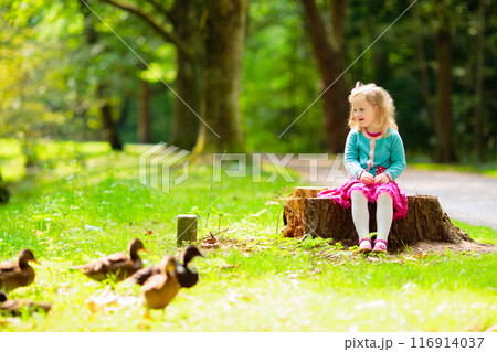 Kids explore nature. Children play in sunny park. Kids explore nature. Children play in sunny park. 116914037