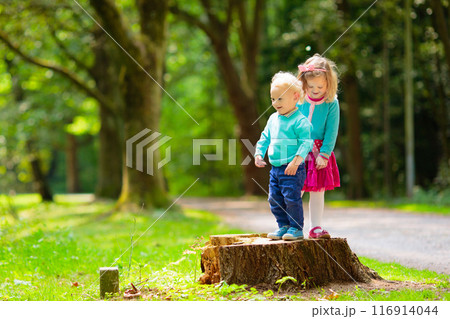 Kids explore nature. Children play in sunny park. Kids explore nature. Children play in sunny park. 116914044
