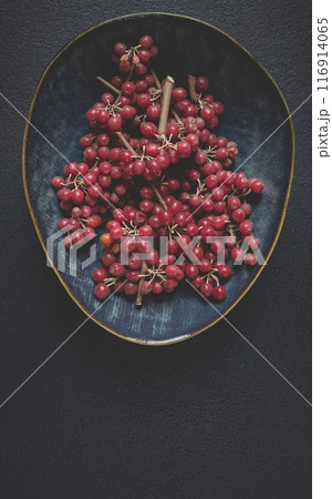 Shtoshi berry, Shepherd's pie, a hybrid of sea buckthorn and barberry, top view, no people, 116914065