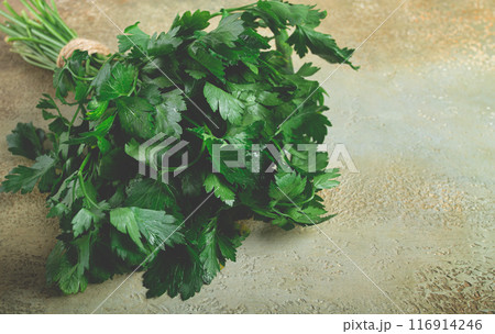 bunch of parsley, on the table, top view, no people, bunch of parsley, on the table, top view, no people, 116914246