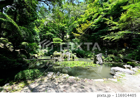 内々神社 庭園 内々神社 庭園 116914405