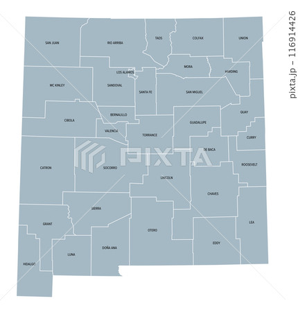 New Mexico counties, gray political map with borders and county names. State in the Southwestern region of the United States, subdivided into 33 counties. Nicknamed The Land of Enchantment. 116914426
