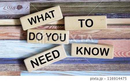 Text WHAT YOU NEED TO KNOW on wooden blocks Text WHAT YOU NEED TO KNOW on wooden blocks 116914475