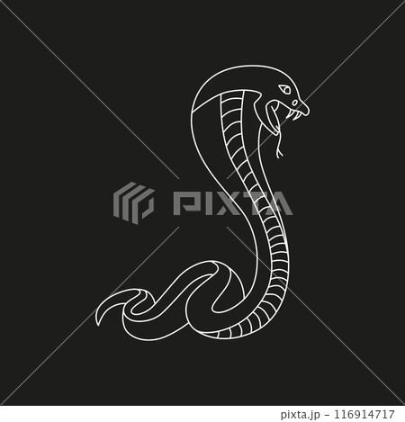 Snake line - symbol Chinese oriental New Year 2025 symbol. Vector stock hand drawing illustration for design template tattoo or congratulations greeting card, banner, calendar. Editable stroke. EPS10 116914717